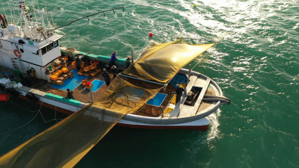 ▲'바닷가 사람들'(사진제공=EBS1)