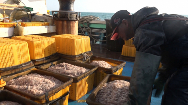 ▲'바닷가 사람들'(사진제공=EBS1)