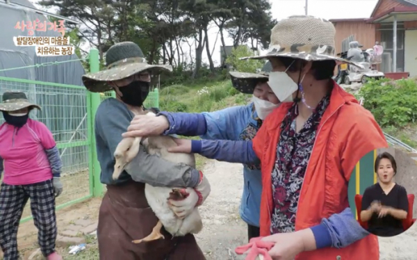 ▲'사랑의 가족'(사진제공=KBS 1TV)