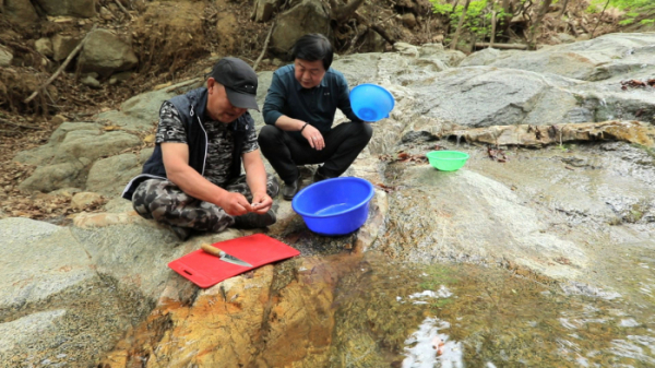 ▲'한국기행'(사진제공=EBS1)