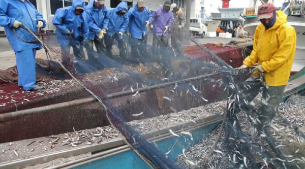 ▲‘관찰카메라 24’ 먹방기행(사진제공=채널A)