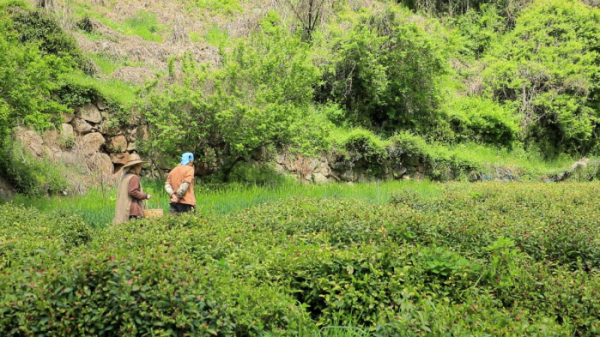 ▲'한국기행'(사진제공=EBS1)