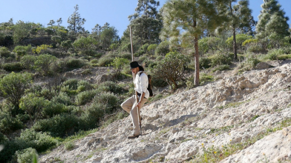 ▲'세계테마기행' 카나리아 제도(사진제공=EBS1)