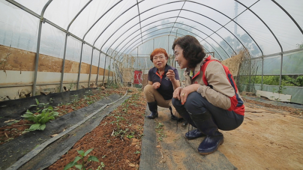 ▲'다문화 고부열전'(사진제공=EBS1)