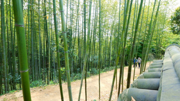 ▲'영상앨범 산' 나주(사진제공=KBS 2TV)