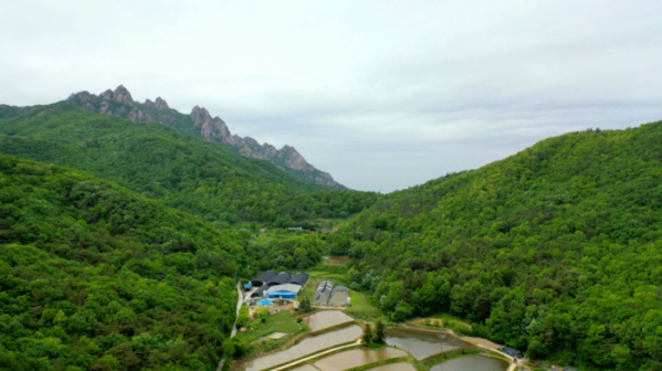 ▲'영상앨범 산' 나주(사진제공=KBS 2TV)