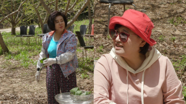 ▲'박원숙의 같이 삽시다'(사진제공=KBS 2TV)