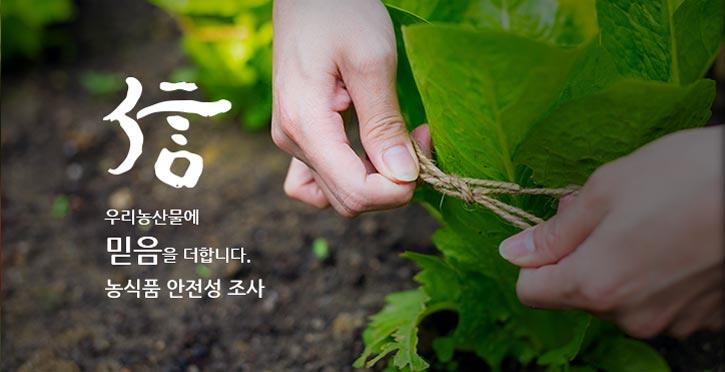 ▲국립농산물품질관리원. (국립농산물품질관리원 홈페이지.)