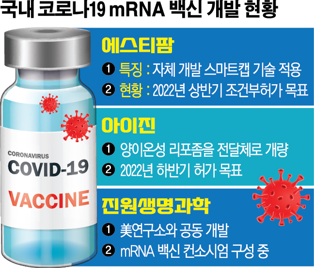 (그래픽=신미영 기자 win8226@)