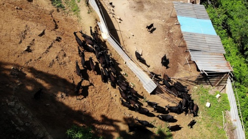 ▲'한국인의 밥상' 덕유산(사진제공=KBS 1TV)