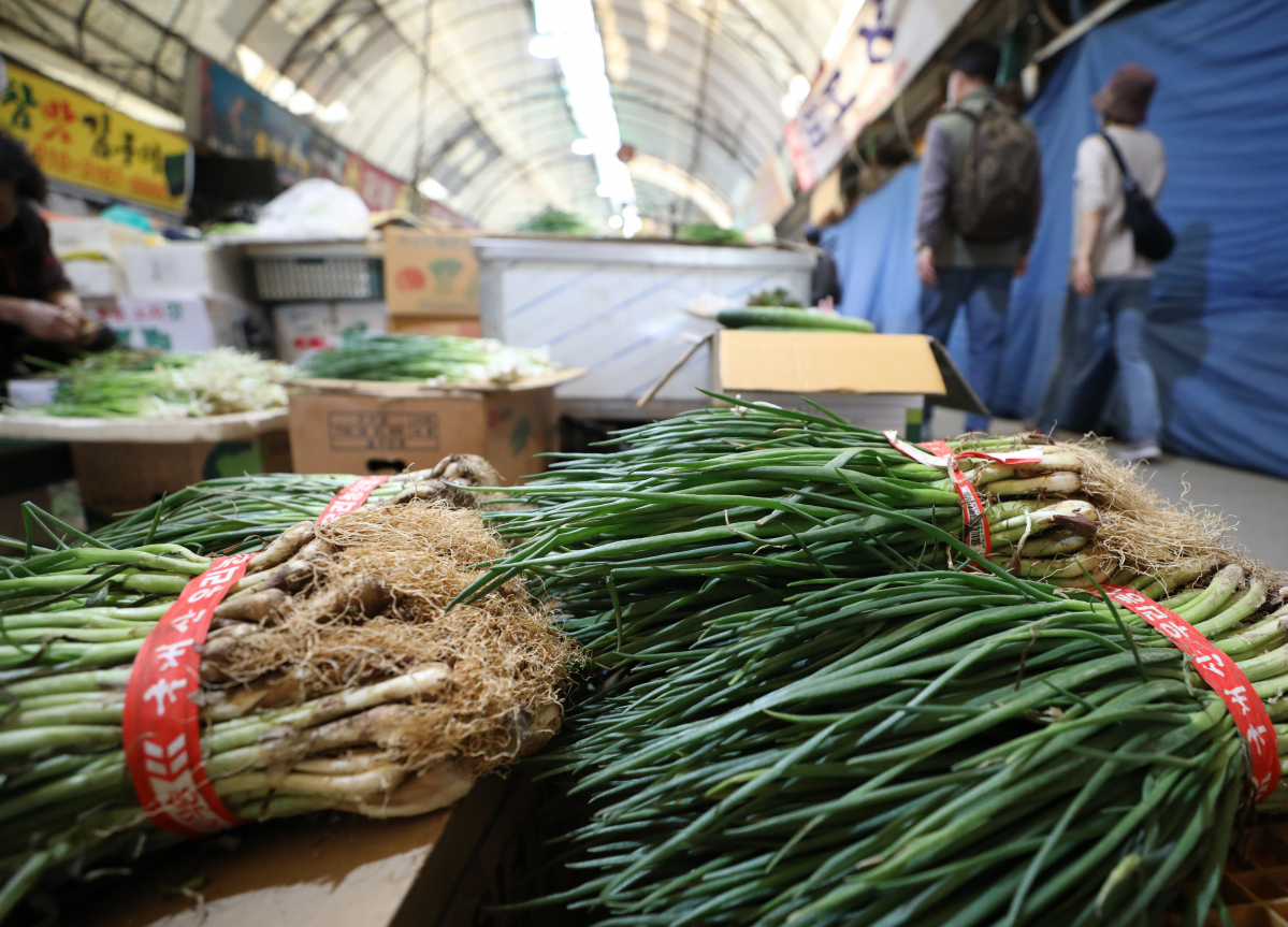 ▲서울 영등포전통시장에서 상인들이 채소류를 판매하고 있다.