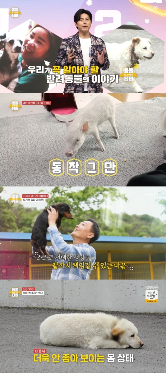 ▲'류수영의 동물티비'(사진제공=KBS 2TV)