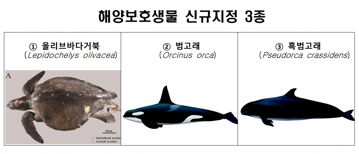 (사진제공=해양수산부)