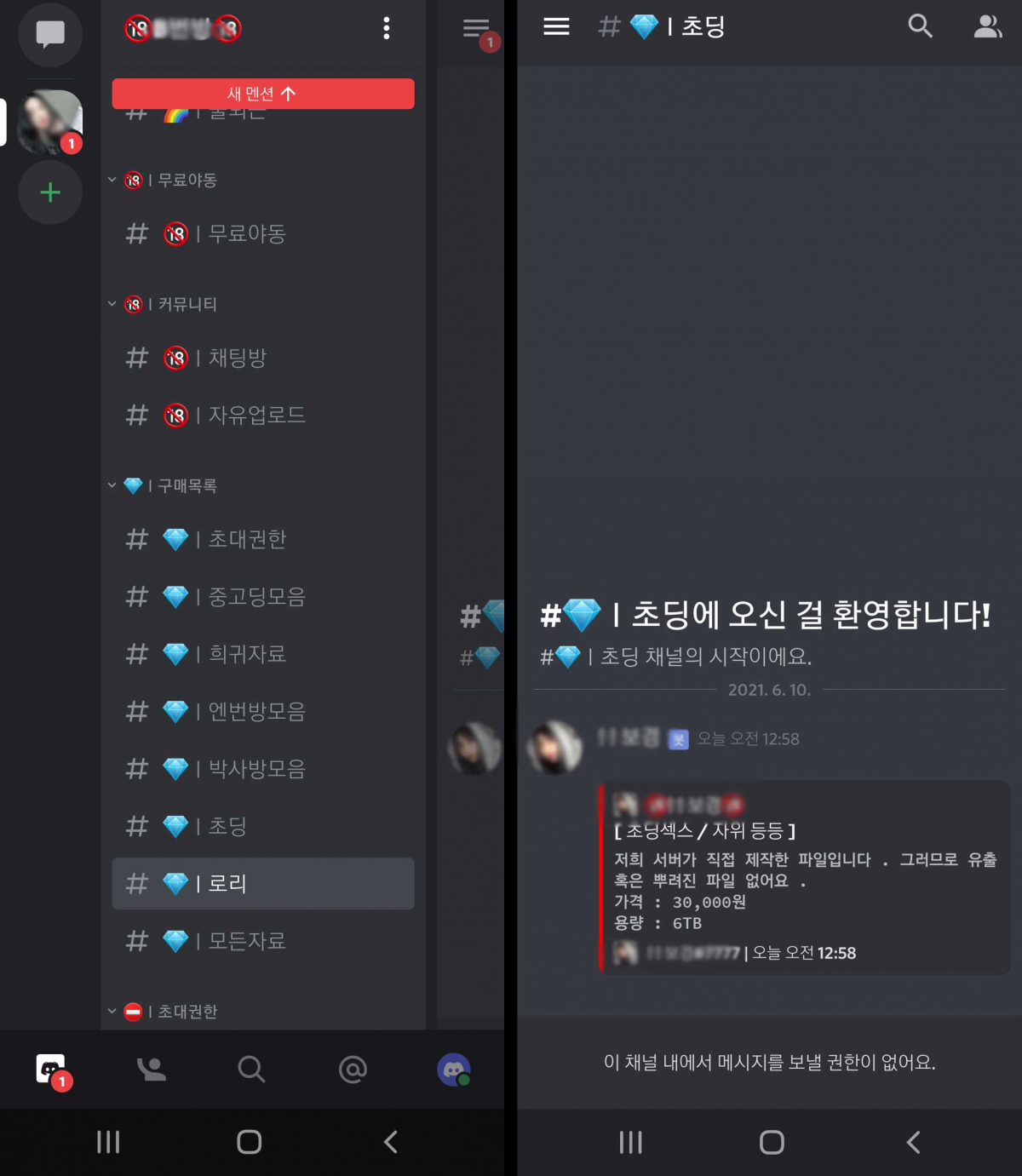 ▲가입자 1300여 명이 넘는 디스코드의 유사 'N번방'에서는 아동·청소년 성 착취물과 디지털 성범죄물이 버젓이 거래되고 있다.  (출처=디스코드 캡처)