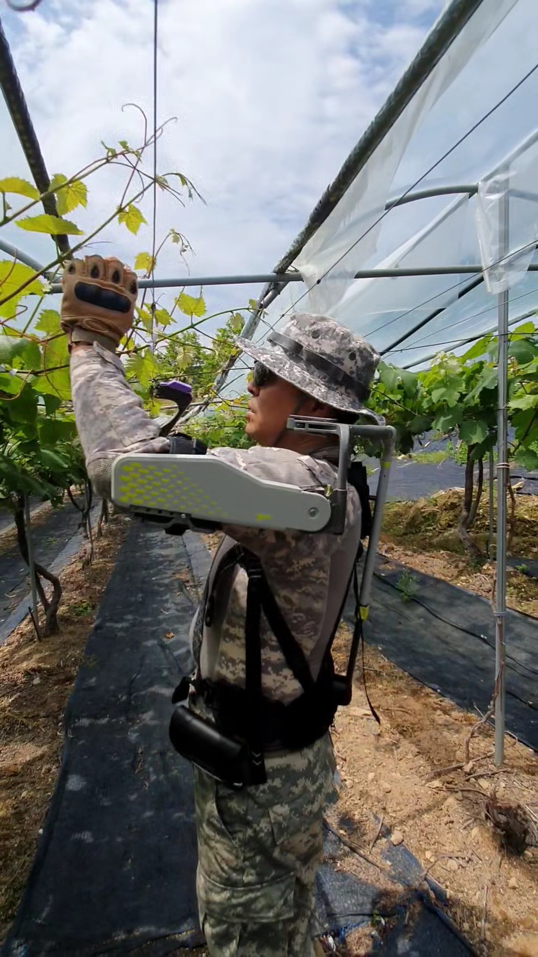 ▲어깨 보조용 웨어러블 슈트 '벡스(VEX)' 착용 이미지 (사진제공=팜한농)