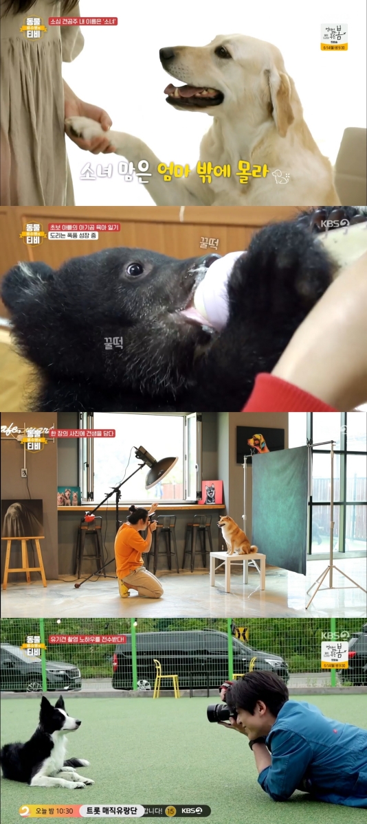 ▲'류수영의 동물티비'(사진제공=KBS 2TV)