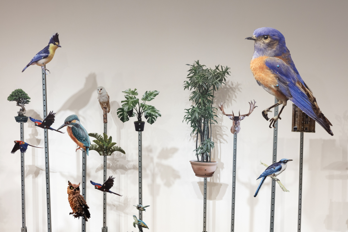 ▲엄아롱 작가의 '이사 그리고 이사'.  (사진=금호미술관)