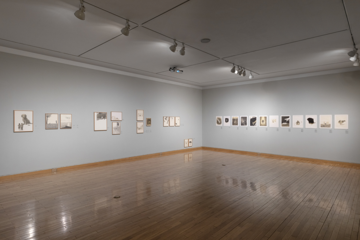 ▲김혜정 작가의 전시. (사진=금호미술관)