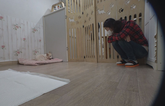 ▲'TV동물농장'(사진제공=SBS)