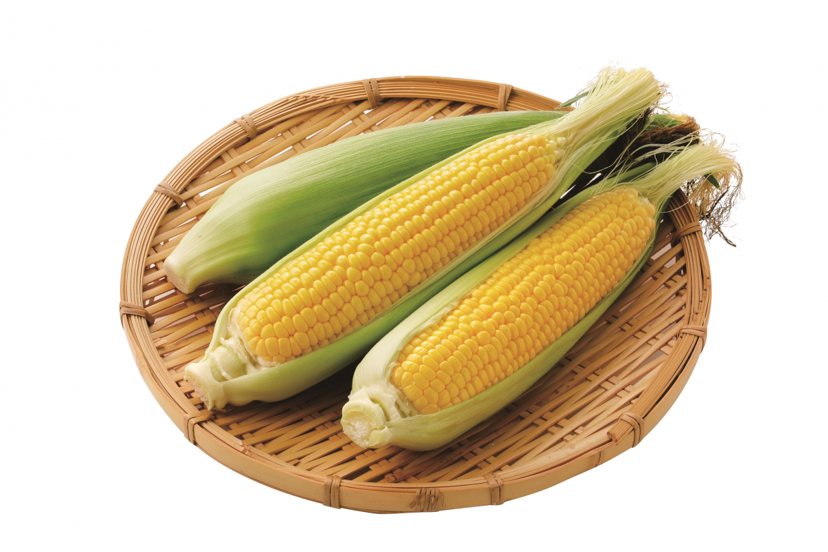 (사진제공=이마트)