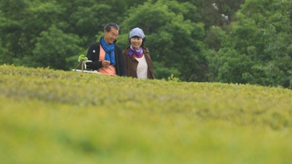 ▲'한국기행'(사진제공=EBS1)