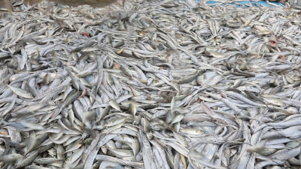 ▲'바닷가 사람들'(사진제공=EBS1)