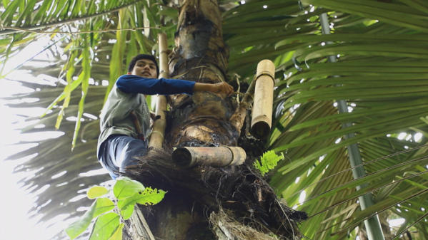 ▲'세계테마기행' 인도네시아(사진제공=EBS1)