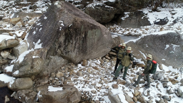 ▲'환경스페셜' 반달가슴곰(사진제공=KBS 2TV)