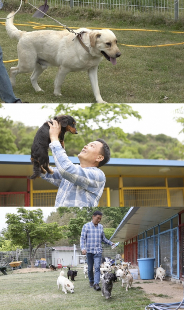 ▲'류수영의 동물티비'(사진제공=KBS 2TV)