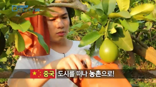 ▲'특파원 보고 세계는 지금'(사진제공=KBS 1TV)