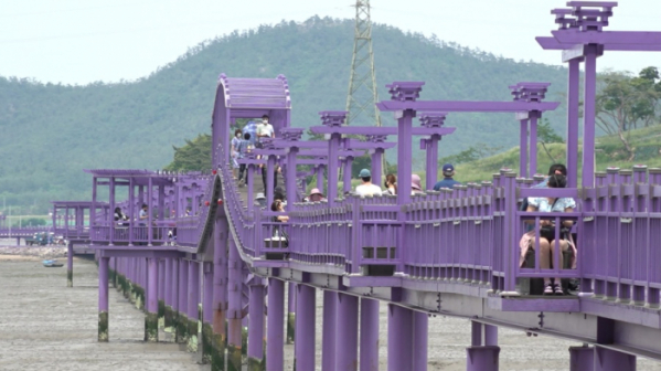 ▲'다큐멘터리3'일(사진제공=KBS2)