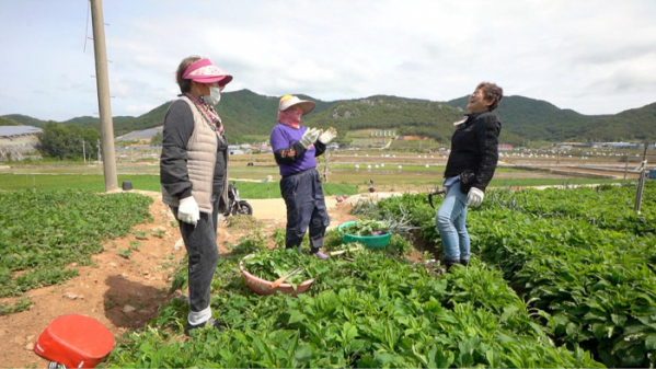 ▲'신계숙의 맛터사이클 다이어리'(사진제공=EBS1)