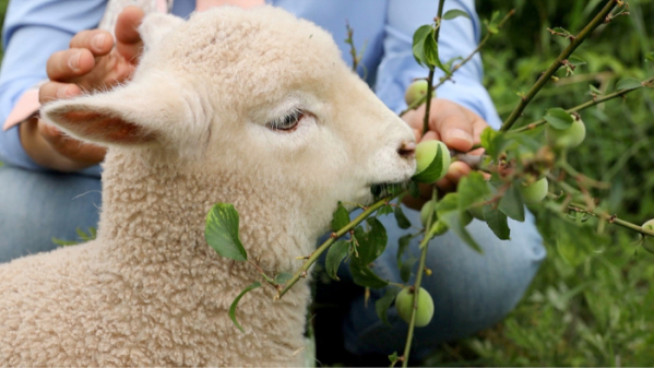 ▲'신계숙의 맛터사이클 다이어리'(사진제공=EBS1)