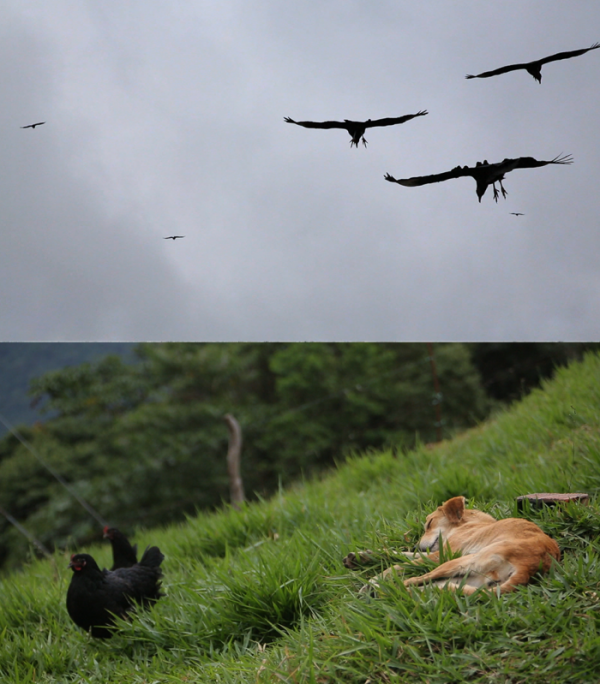 ▲'세계테마기행'(사진제공=EBS1)