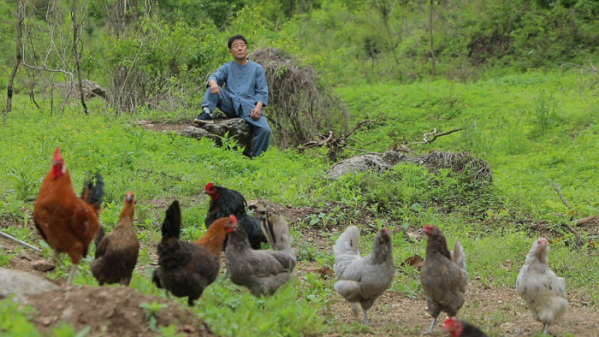▲'한국기행' (사진제공=EBS1)