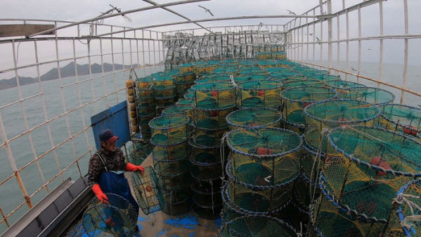 ▲'바닷가 사람들' 진도 꽃게잡이(사진제공=EBS1)