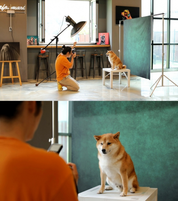 ▲'류수영의 동물티비'(사진제공=KBS 2TV)