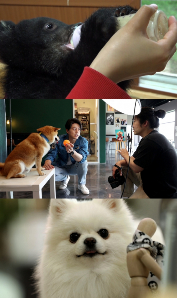 ▲'류수영의 동물티비'(사진 = KBS 제공)