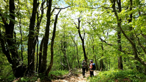 ▲'영상앨범 산' 오대산(사진제공=KBS 2TV)