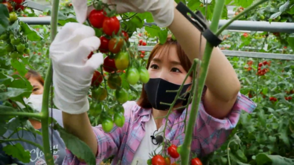 ▲'6시 내고향'(사진제공=KBS 1TV)