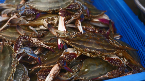 ▲‘바닷가 사람들’(사진제공=EBS1)