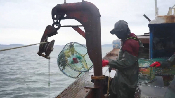 ▲‘바닷가 사람들’(사진제공=EBS1)