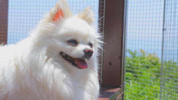 ▲'한국기행' 자월도(사진제공=EBS1)