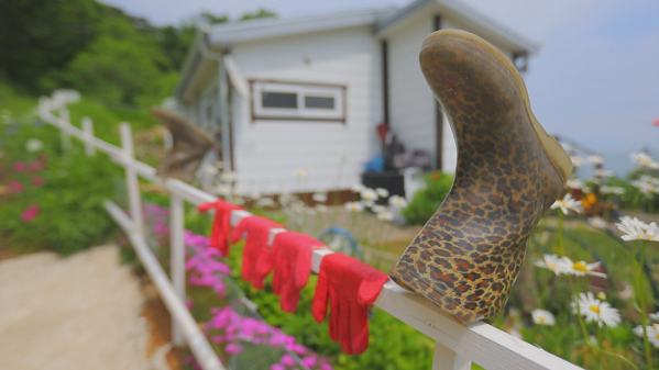 ▲'한국기행' 자월도(사진제공=EBS1)