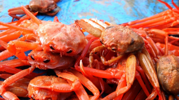 ▲'한국인의 밥상'(사진제공=KBS 1TV)