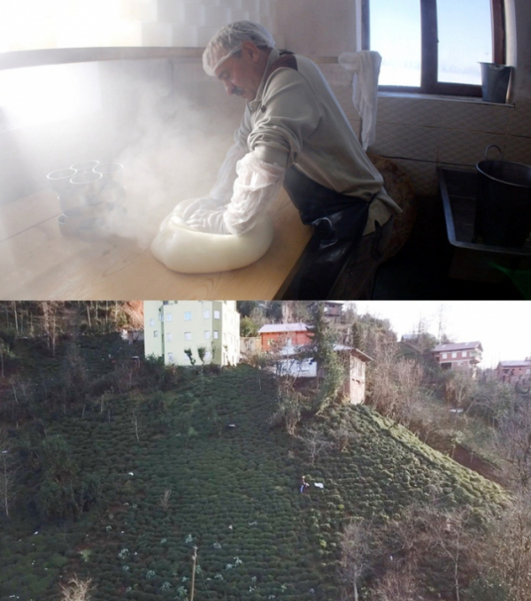 ▲'세계테마기행'(사진제공=EBS1)