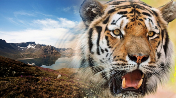 ▲'특파원 보고 세계는 지금'(사진제공=KBS 1TV)