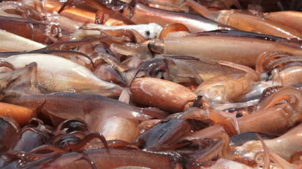 ▲'다큐멘터리 3일'(사진제공=KBS1)