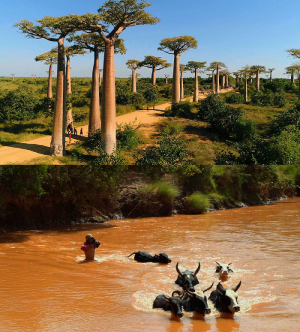 ▲'세계테마기행'(사진제공=EBS1)