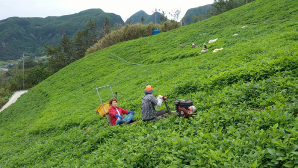▲'신계숙의 맛터사이클 다이어리' 울릉도(사진제공=EBS1)
